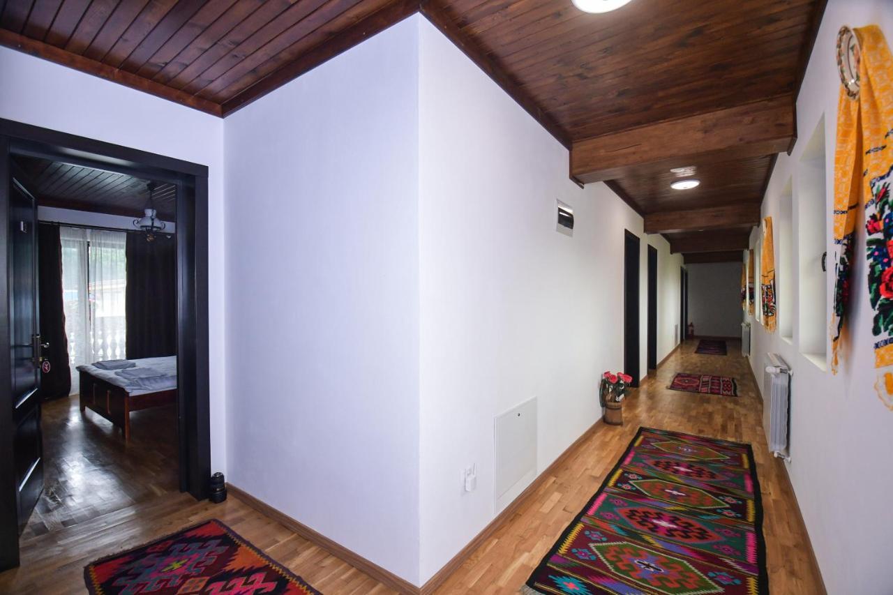 Hotel Piatra Soimului Vişeu de Sus Exterior foto