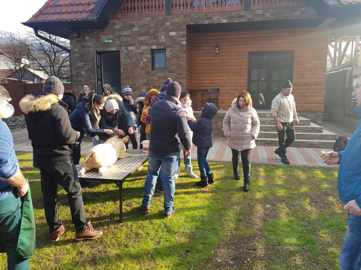 Hotel Piatra Soimului Vişeu de Sus Exterior foto